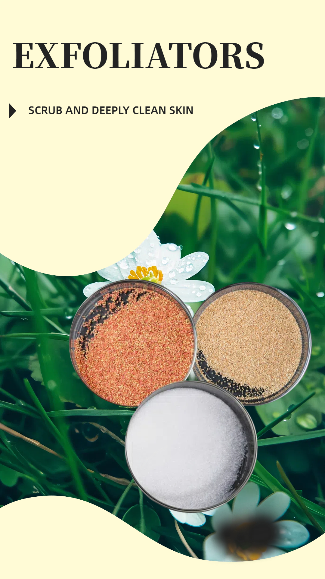 NATURAL SHELL POWDER EXFOLIATORS
